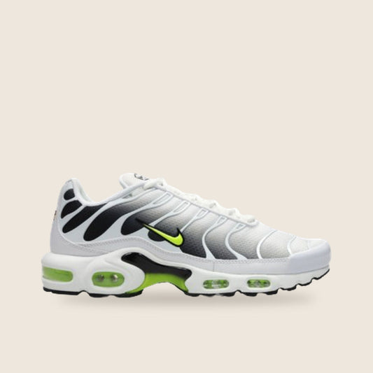 Nike Air Max Plus TN — Blanc et argent